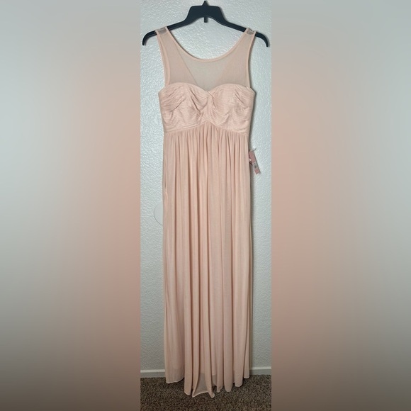 NWT Birdy Grey Ryan Dress in Mesh Pale Blush - Picture 3 of 6